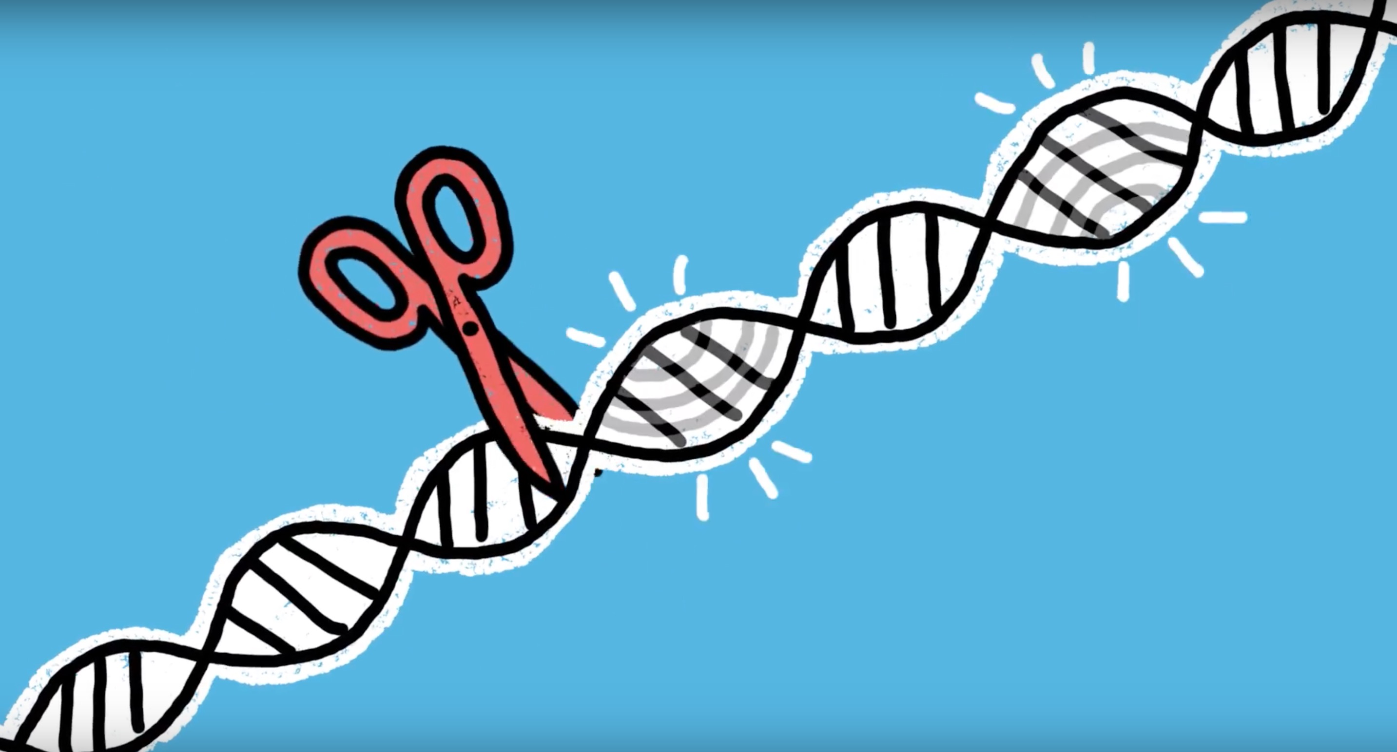 Генетические ножницы CRISPR